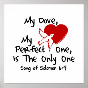 Song of Solomon 6:9 Poster