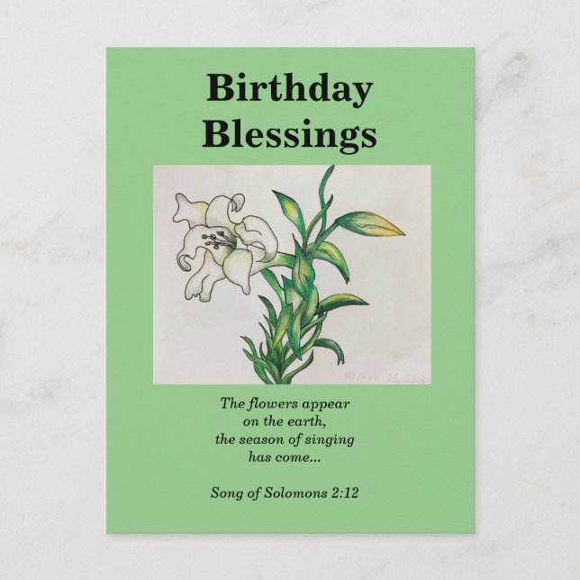 Song Of Solomons Birthday Blessing White Lily Postcard (Front)