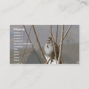 Song Sparrow Business Card