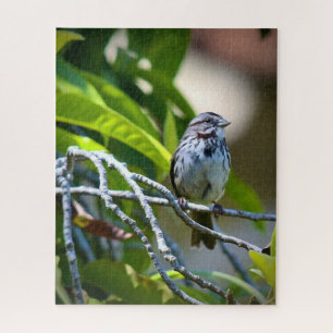 Song Sparrow Jigsaw Puzzle