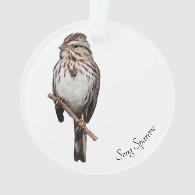 Song Sparrow Ornament (Front)