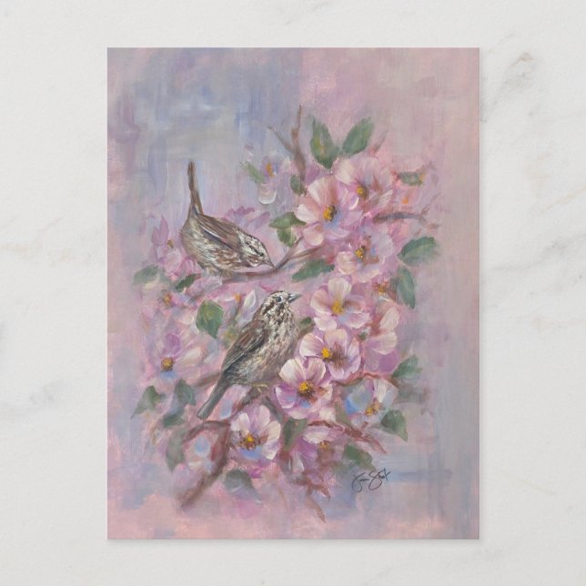 Song Sparrow Postcard (Front)