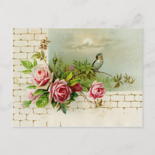 Songbird and Roses Postcard