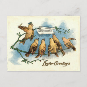 Songbird Choir Sky Singing Song Tree Postcard