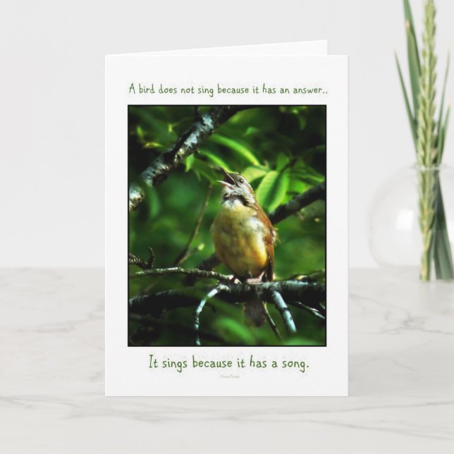 Songbird Greeting Card (Front)