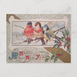 Songbird Holly Snow Postcard