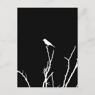 Songbird Night Postcard