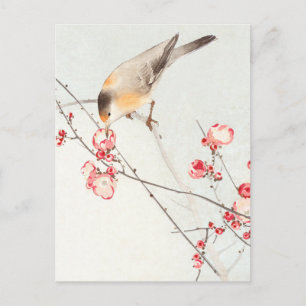 Songbird on blossom branch - Ohara Koson -enlarged Postcard