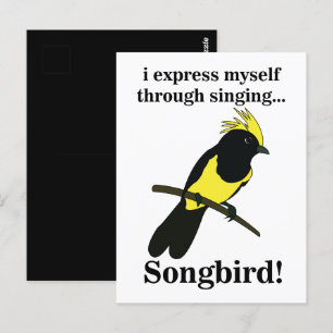 Songbird Tit Bird Funny Birdwatching Birdwatcher Postcard