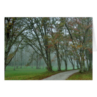 Songbird Trail II