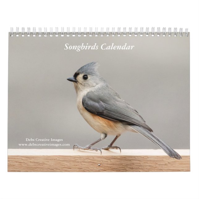 Songbirds 2026 calendar (Cover)