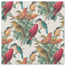 Songbirds