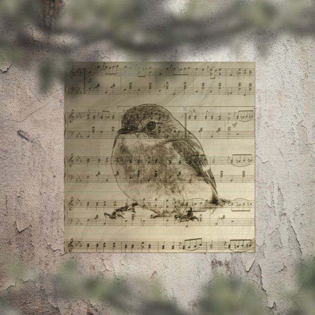 Songs of Birds Poster (Creator Uploaded)