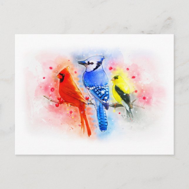 Songs of winter bird watercolor painting postcard (Front)