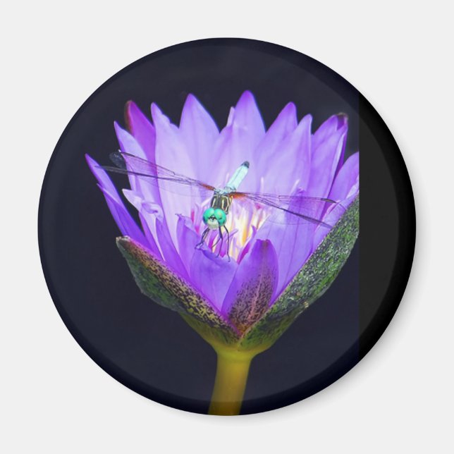 Sonia WIld Magnet (Front)