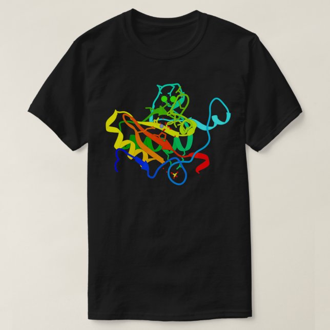 Sonic Hedgehog T-Shirt (Design Front)