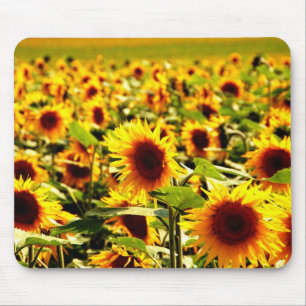 Sonnenblume Mouse Mat