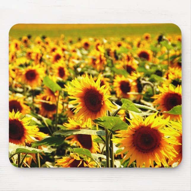 Sonnenblume Mouse Mat (Front)