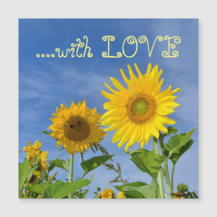 Sonnenblumen  für Dich ...