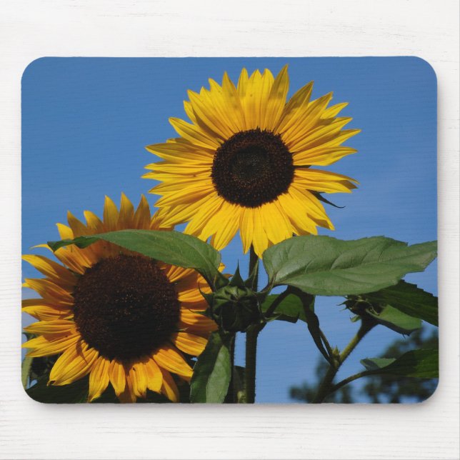 Sonnenblumen Mouse Mat (Front)