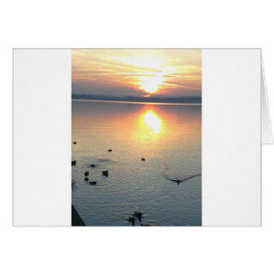 Sonnenuntergang am See mit Enten