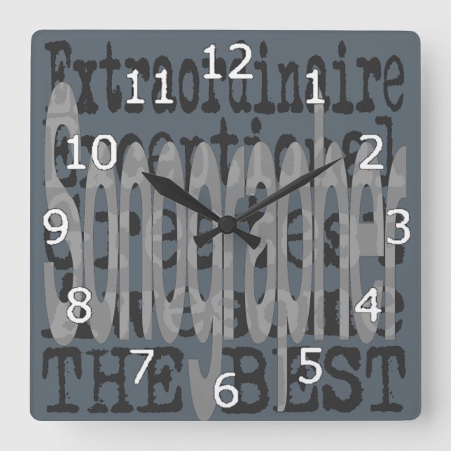 Sonographer Extraordinaire Square Wall Clock (Front)