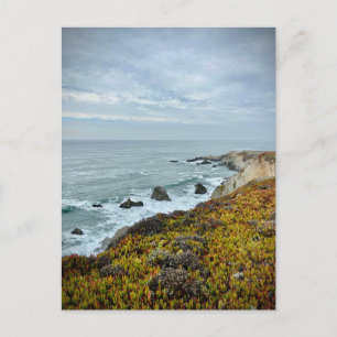 Sonoma Coast State Park, California Postcard