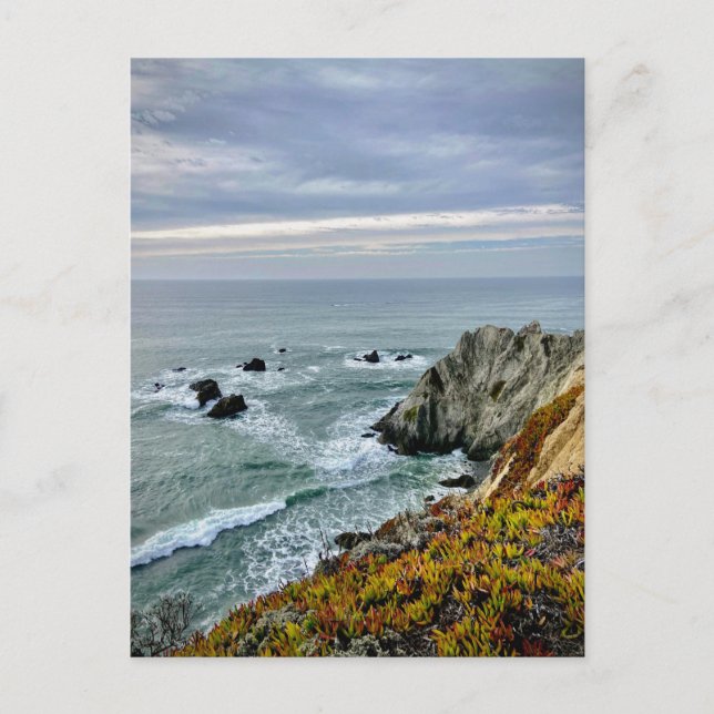 Sonoma Coast State Park, California Postcard (Front)