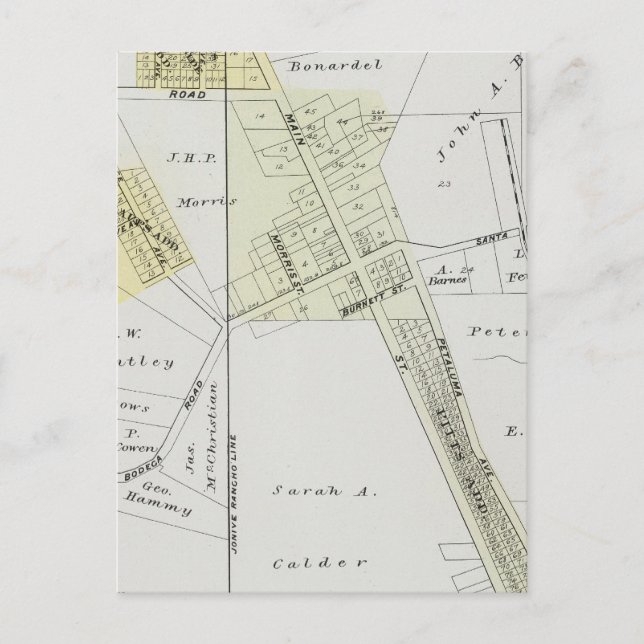 Sonoma County, California 12 Postcard (Front)