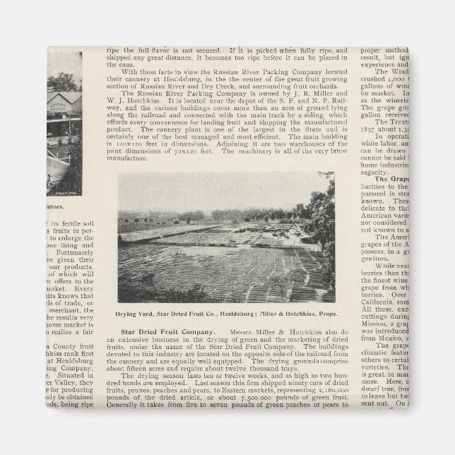 Sonoma County, California Magnet (Front)