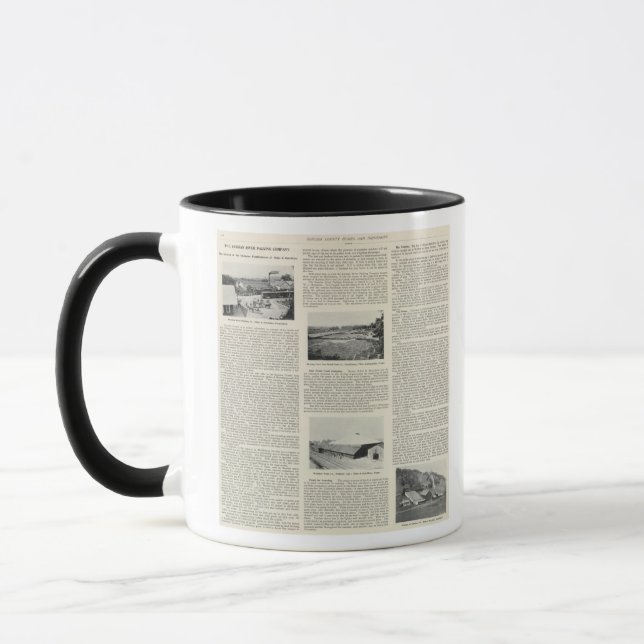 Sonoma County, California Mug (Left)
