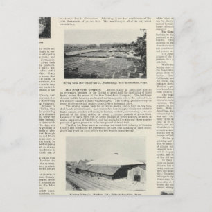 Sonoma County, California Postcard