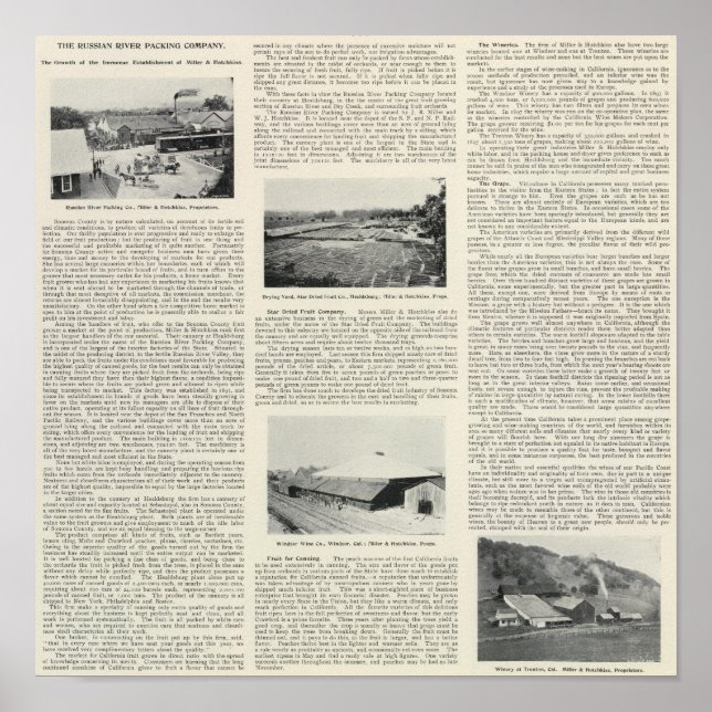 Sonoma County, California Poster (Front)