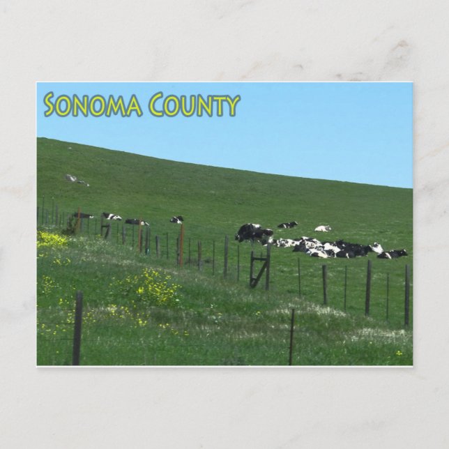 Sonoma County postcard (Front)