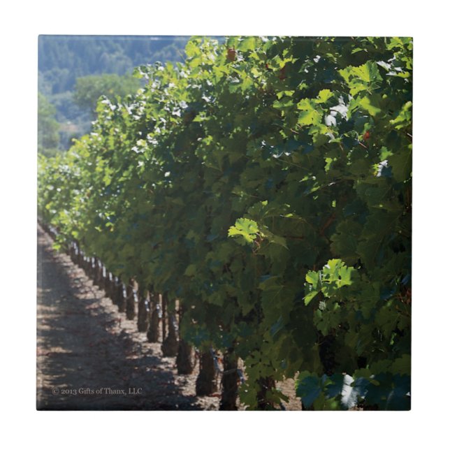 Sonoma County Vineyard - Ceramic Tile (Front)