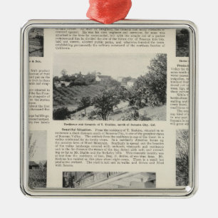 Sonoma Farms, California Metal Tree Decoration