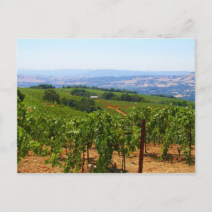 Sonoma Postcard