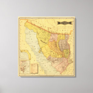 Sonora Canvas Print