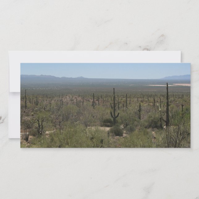 Sonora Desert Museum (Front)