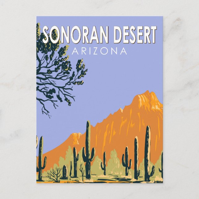 Sonoran Desert Arizona Vintage Art Postcard (Front)