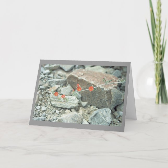 Sonoran Desert Blossoms Greeting Card or Note Card (Front)