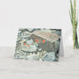 Sonoran Desert Blossoms Greeting Card or Note Card
