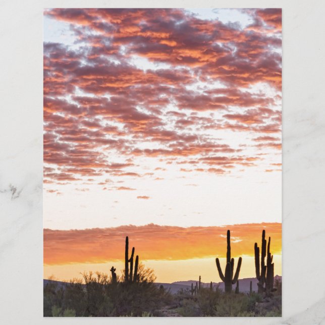 Sonoran Desert Colourful Sunrise Morning (Front)