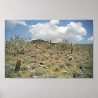 Sonoran Desert Pastoral Art Print Photo Posters