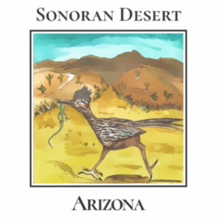 Sonoran Desert Road Runner Arizona