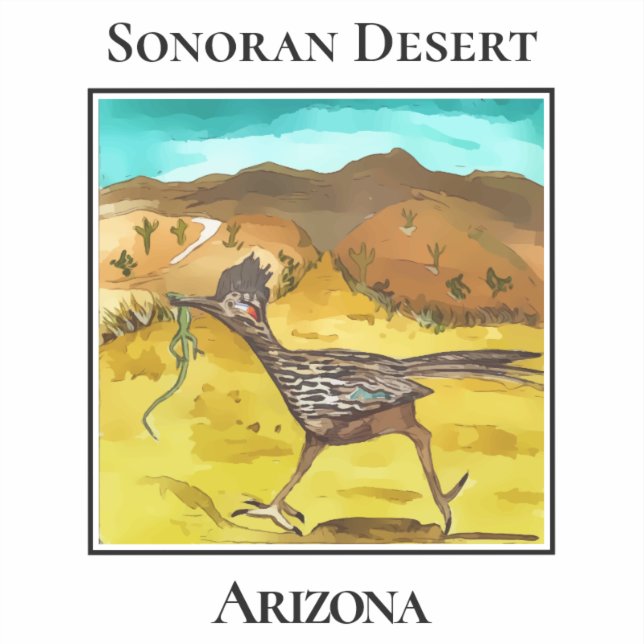 Sonoran Desert Road Runner Arizona (Front)