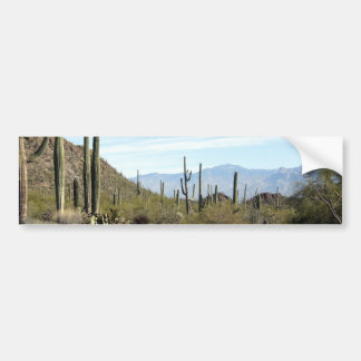 Sonoran desert scene 02 bumper sticker