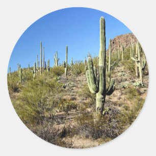 Sonoran Desert scene 03 Classic Round Sticker