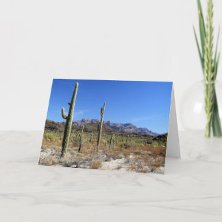 Sonoran Desert Scene 13 Card