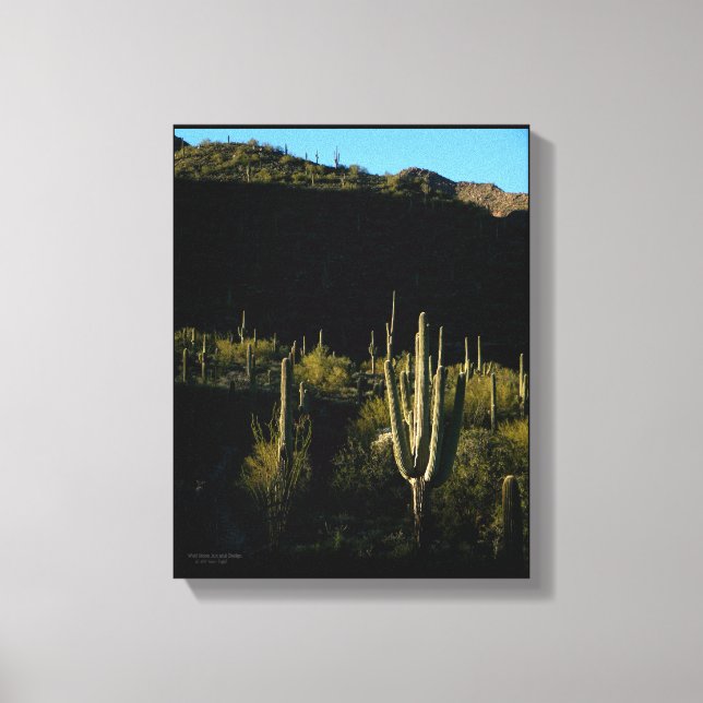 Sonoran Desert Scene with Giant Saguaro Cactus Canvas Print (Front)